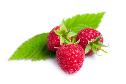 Raspberry with leaves. Raspberry isolated on white background. Фото