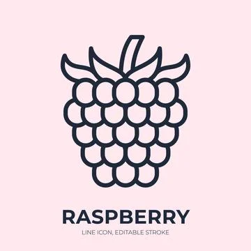 Raspberry line icon. Bramble berry linear vector illustration. Thin sign of ripe Stock Illustration