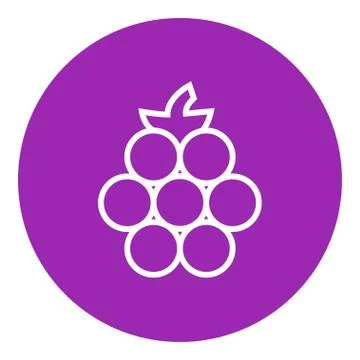 Raspberry line icon Stock Illustration