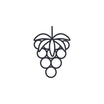 Raspberry line icon isolated vector Illustrazione stock