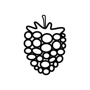 Raspberry line icon isolated on a white background Stock Illustration