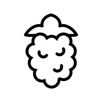Raspberry line icon isolated on white background. Black flat thin icon on m.. Stockillustratie