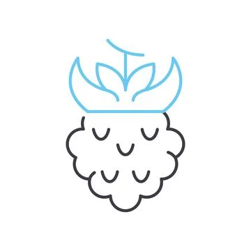 Raspberry line icon, outline symbol, vector illustration, concept sign Stock Illustration