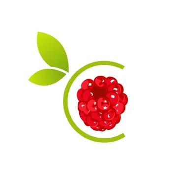  Raspberry logo Stock Illustration
