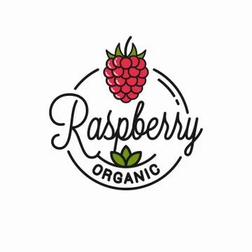 Raspberry logo. Round linear of organic raspberry 스톡 일러스트