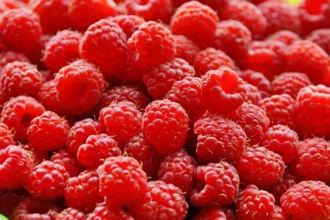 Raspberry lot of berries texture background 스톡 사진