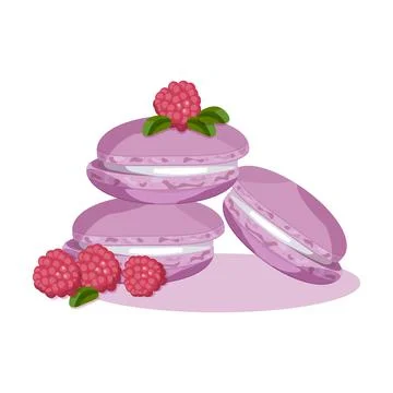 Raspberry macaroons with berries and leaves dessert Stock Illustration