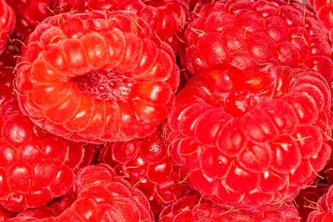 Raspberry macro close up shot Stock Photos