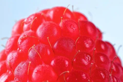 Raspberry, Macro image Stock Photos