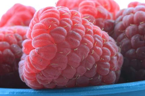 Raspberry macro Foto stock