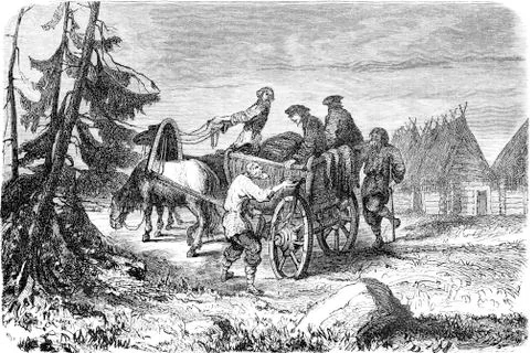 Raspberry merchant Stock Illustration