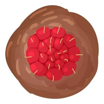 Raspberry muffin icon isometric vector. Chocolate muffin with fresh raspberry Stock Illustration