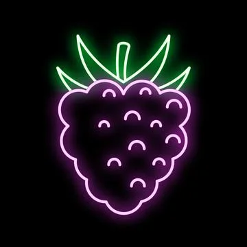 Raspberry neon sign glowing illuminating black background Stock Illustration