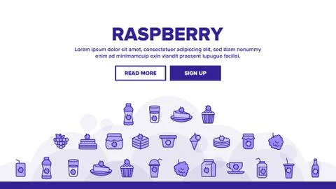 Raspberry Nutrition Landing Header Vector 스톡 일러스트