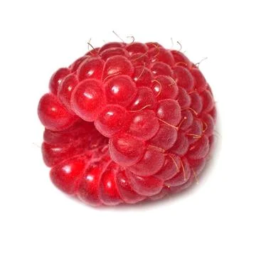 Raspberry one macro isolated on white background Stock Photos
