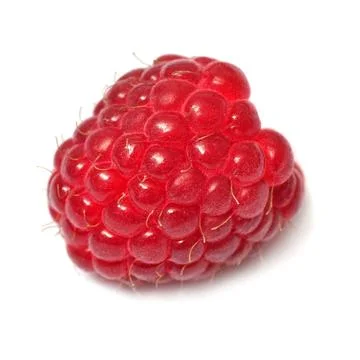 Raspberry one macro isolated on white background Stock Photos