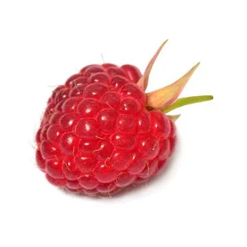 Raspberry one macro isolated on white background Stock Photos