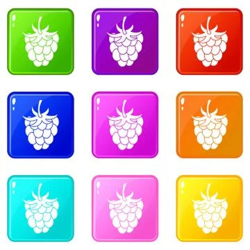 Raspberry or blackberry icons 9 set Stock Illustration
