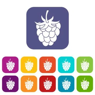 Raspberry or blackberry icons set flat Illustrazione stock