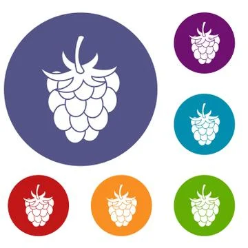 Raspberry or blackberry icons set Stock Illustration