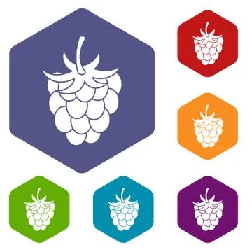 Raspberry or blackberry icons set hexagon Illustrazione stock
