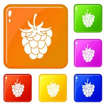 Raspberry or blackberry icons set vector color Illustrazione stock