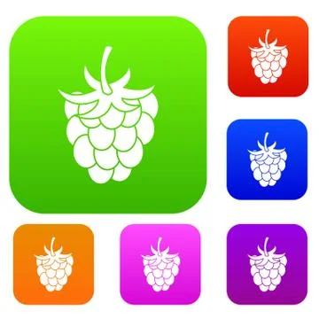 Raspberry or blackberry set color collection Illustrazione stock