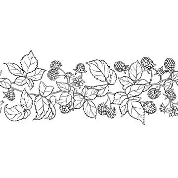 Raspberry Outline Horizontal Seamless Pattern. Stock-Illustration