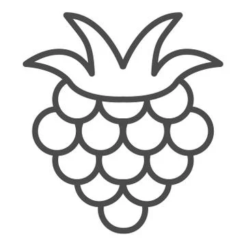 Raspberry outline icon, fruit symbol, healthy food vector sign isolated on white Stock Illustration