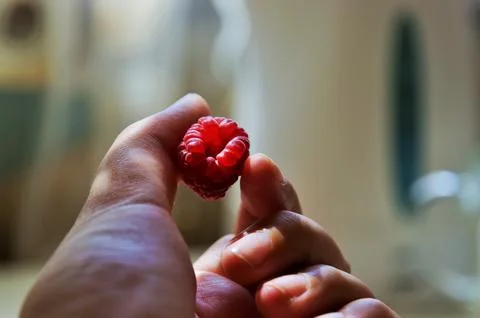 A raspberry in a palm Foto stock
