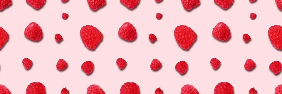 Raspberry panoramic background Stock Photos