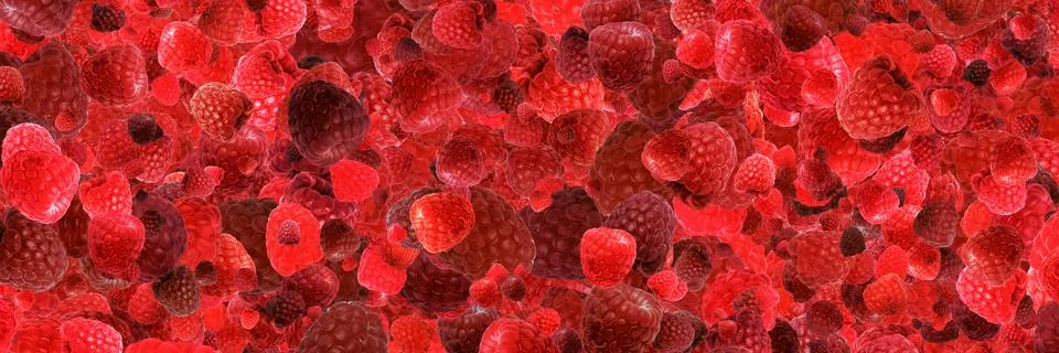 Raspberry panoramic background Foto stock