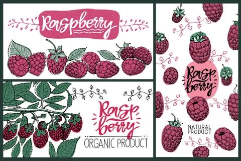 Raspberry party. Set of cute creative card templates with raspberry. Hand Drawn Stock Illustration