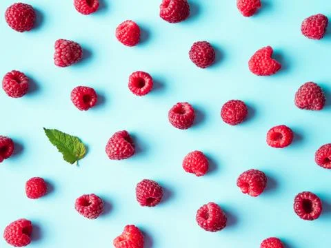 Raspberry pattern, blue background, top view 스톡 사진