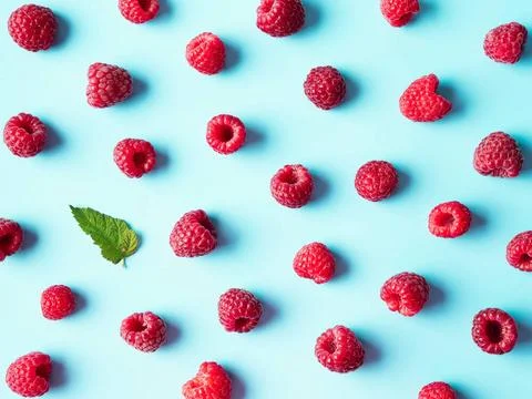 Raspberry pattern, blue background, top view Pattern of ripe red raspberry... Stock Photos