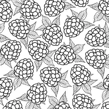 Raspberry pattern, the work is done in the vector, black and white line Stock Illustration