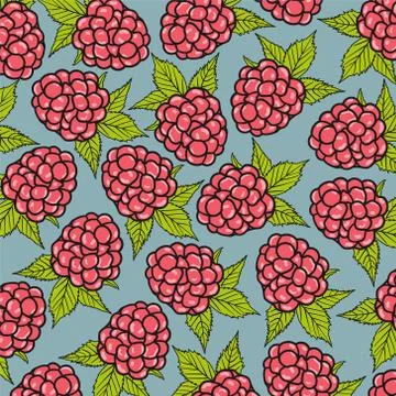Raspberry pattern, work done in vector with nice colors Stock Illustration