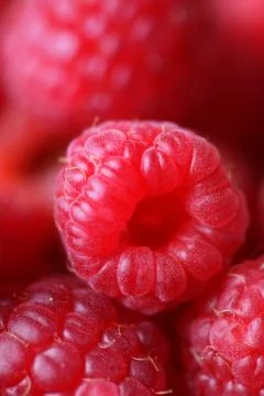 Raspberry Stock Photos