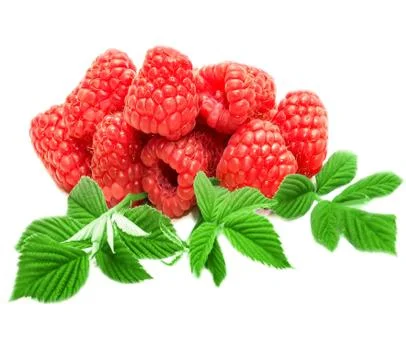 Raspberry Foto stock