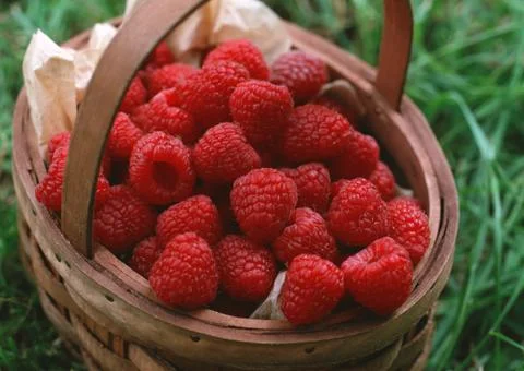 Raspberry Stock Photos