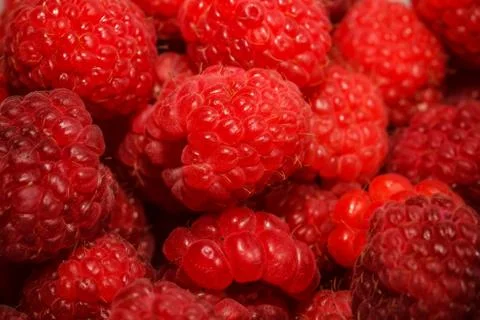 Raspberry Stock Photos
