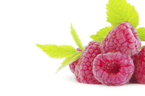 Raspberry Stock Photos