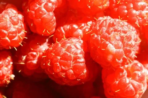 Raspberry Stock Photos