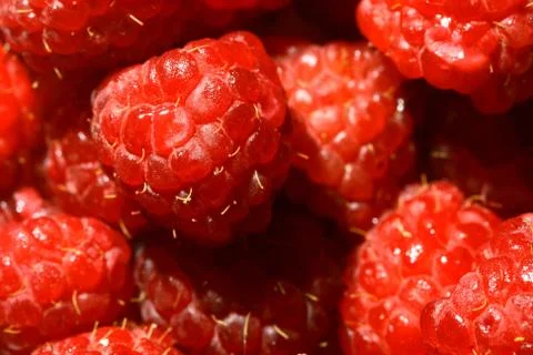 Raspberry Stock Photos