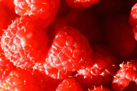 Raspberry 스톡 사진