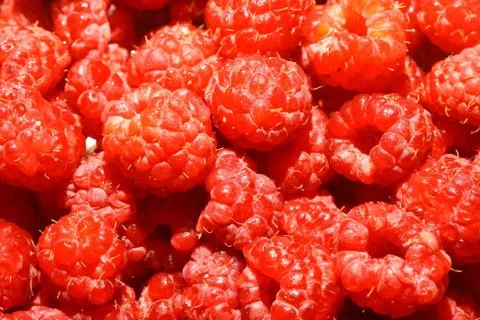 Raspberry Foto stock