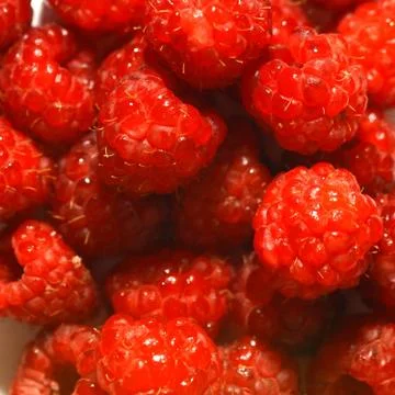 Raspberry Stock Photos