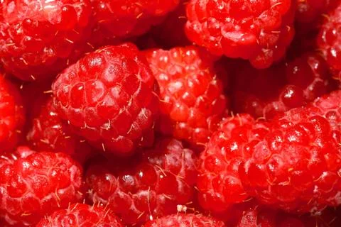Raspberry Stock Photos