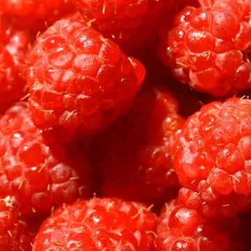 Raspberry Foto stock