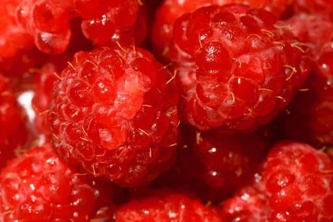 Raspberry Foto stock